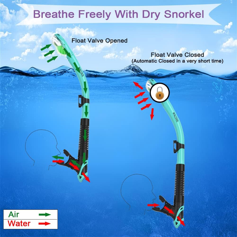 Snorkel Set for Adults – Anti-Fog Mask & Dry Snorkel