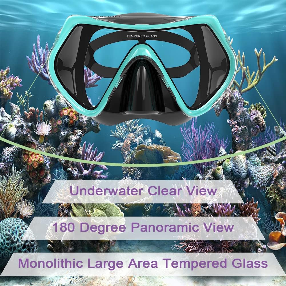 Snorkel Set for Adults – Anti-Fog Mask & Dry Snorkel