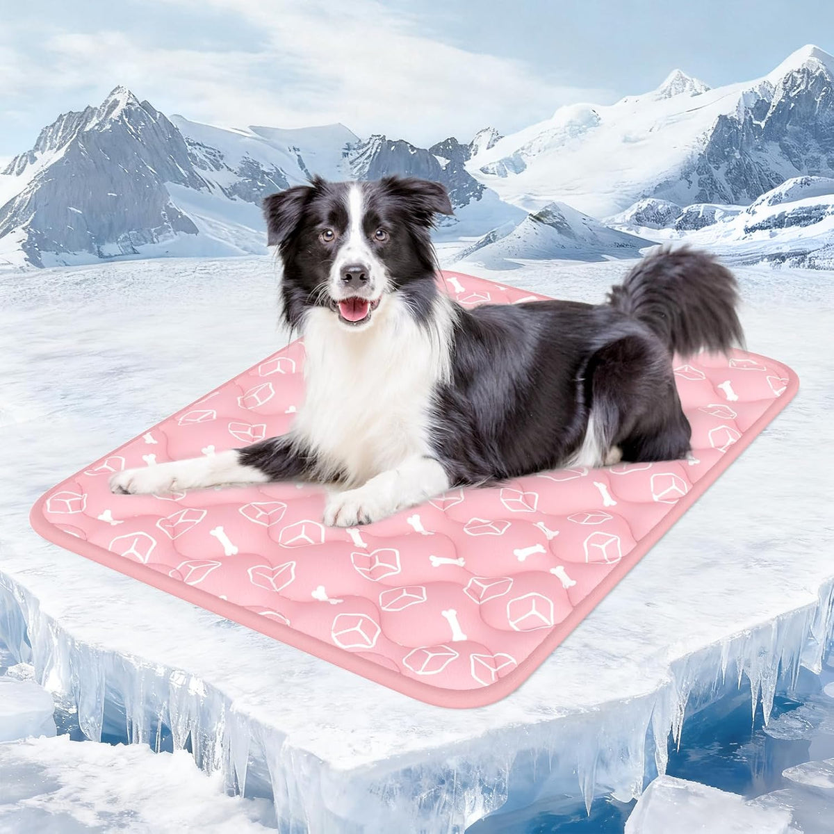 Self-Cooling Dog Mat – Colour Changing, Foldable