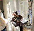 Cordless Cat Window Perch Hammock – Holds 10 kg